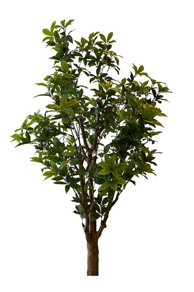 Generic Ficus tree artificial plant 2.1m tall