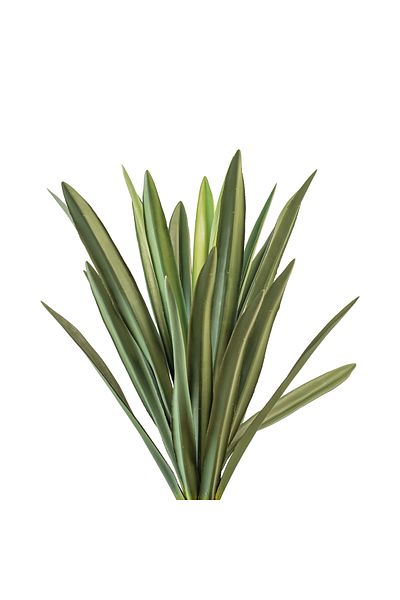 Generic 80cm artificial cactus tree