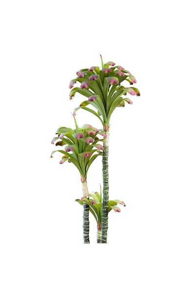 Generic 1.3m Artificial Bromeliad Tree