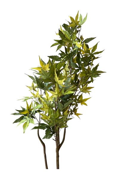 Generic Artificial maple tree 1.2m