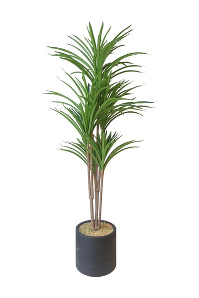 Generic Dracaena Tree - Artificial Dracaena Plant - 1.20 m