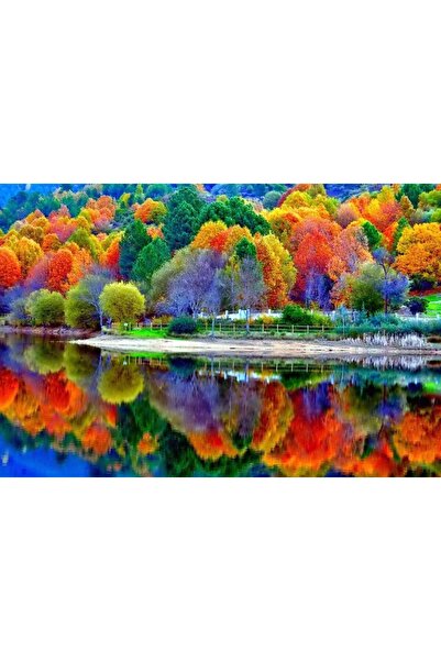 startonight Tablou DualView Startonight Culorile Padurii, 80 x 120 cm