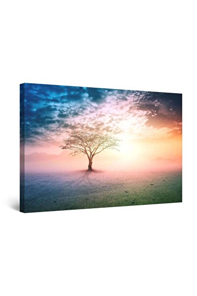 startonight Tablou DualView Startonight Copac in lumina apusului, 80 cm x 120 cm