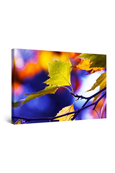 startonight Tablou DualView Startonight Frunze de stejar, 90 cm x 60 cm