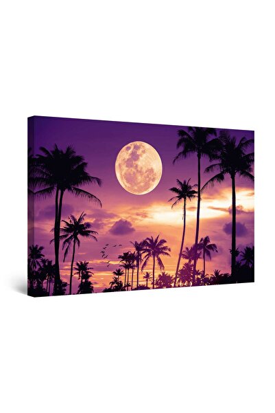startonight Tablou DualView Startonight Noapte Tropicala, 90 cm x 60 cm