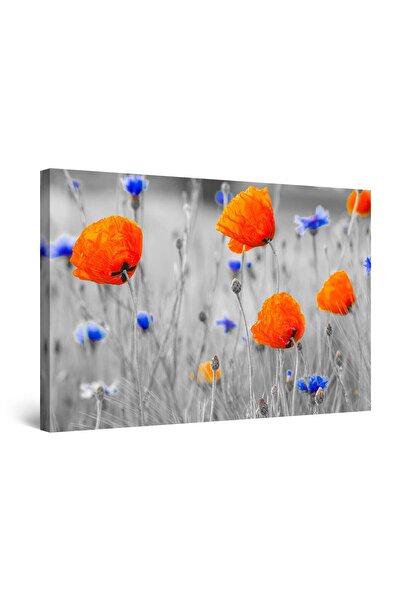 startonight Tablou DualView Startonight Frumusetea macilor, 90 cm x 60 cm