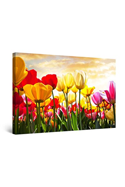 startonight Tablou DualView Startonight Camp de Lalele, 90 cm x 60 cm