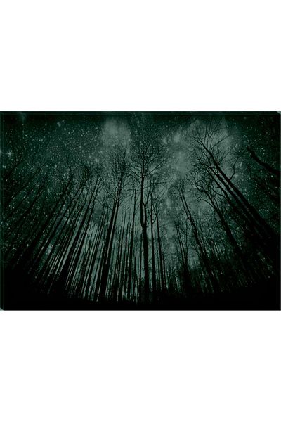 startonight Tablou Alb-Negru Abstract Startonight, Noapte instelata, 80 x 120 cm
