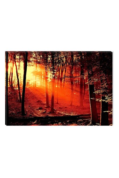 startonight Πίνακας DualView Startonight Red Sunrise, 80 x 120 εκ.