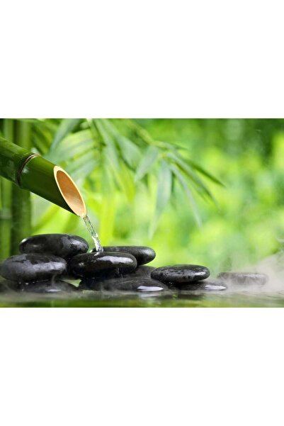 startonight Tablou DualView Startonight Bambus Zen, 80 x 120 cm