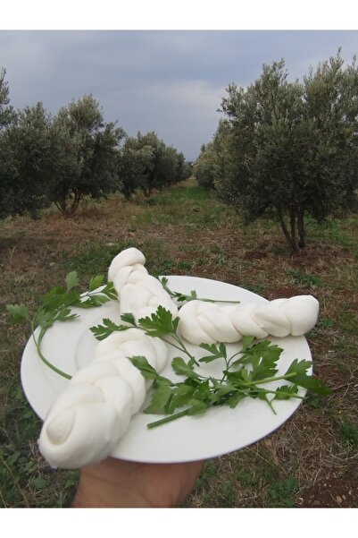 SAFA HATAY YÖRESEL ÜRÜNLER HATAY YÖRESEL ÖRGÜ PEYNİR 500 GRAM