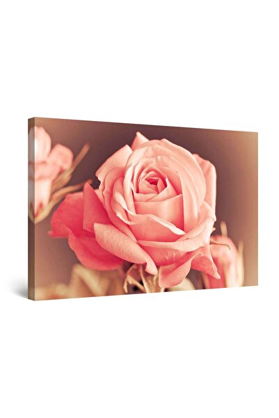 startonight Tablou DualView Startonight Trandafir roz, 80 cm x 120 cm