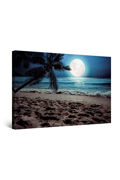 startonight Tablou DualView Startonight Luna pe Plaja , 120 cm x 80 cm