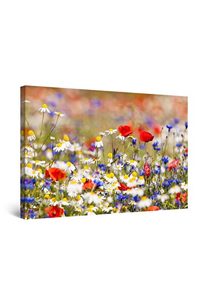 startonight Tablou DualView Startonight Camp de flori, 80 cm x 120 cm
