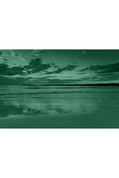 startonight Tablou DualView Startonight Daydream Plaja Eternitatii, 80 x 120 cm