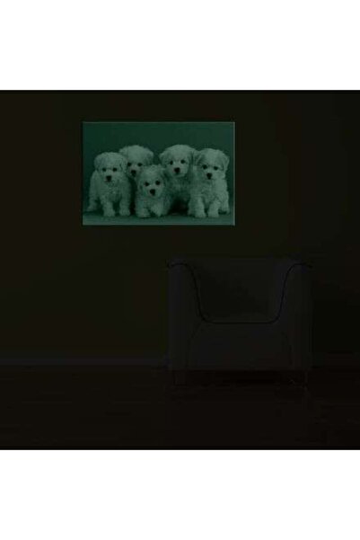 startonight Tablou DualView Startonight Catelusi Bichon, 60 x 90 cm