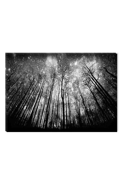startonight Tablou Alb-Negru Abstract Startonight, Noapte instelata, 80 x 120 cm