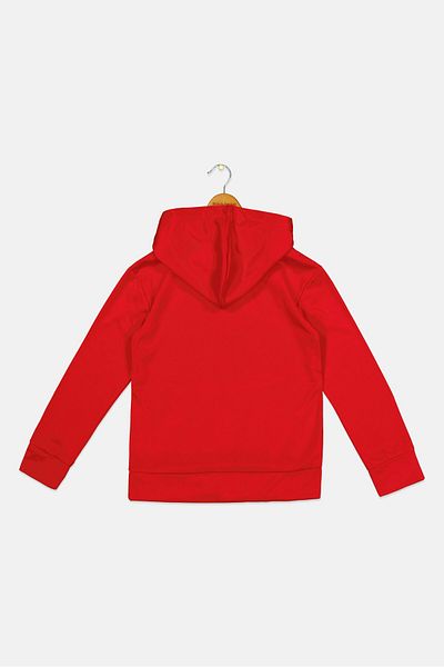 Puma Kids Boy Sportswear Fit Brand Logo Hoodie, Red