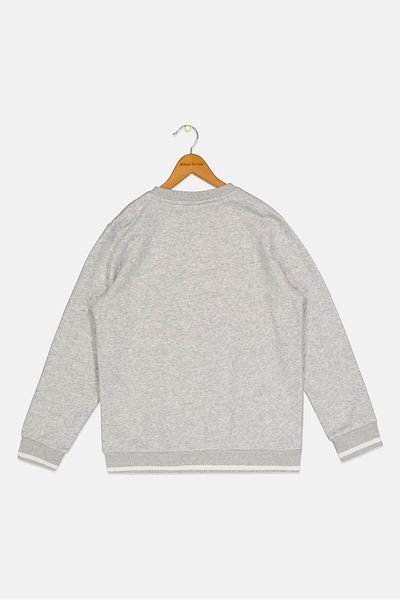 Puma Kids Boy Brand Logo Long Sleeve Outdoor Sweatshirt, Light Grey