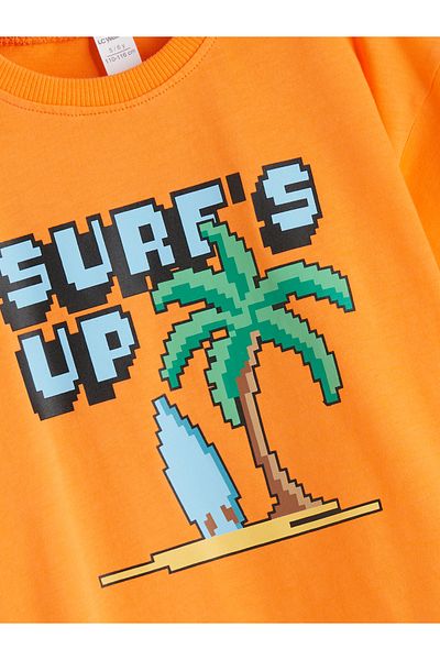 LC Waikiki Crew Neck Printed Boy's T-Shirt