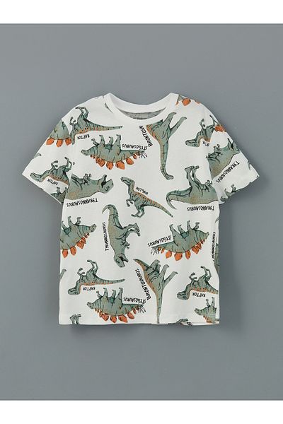 LC Waikiki Crew Neck Boys T-Shirt and Shorts