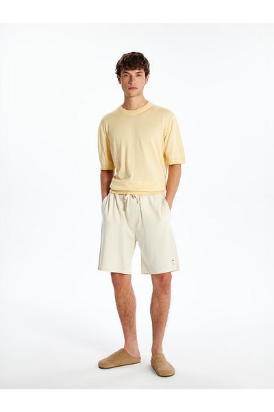 LC Waikiki Ανδρικό σορτς Standard Fit