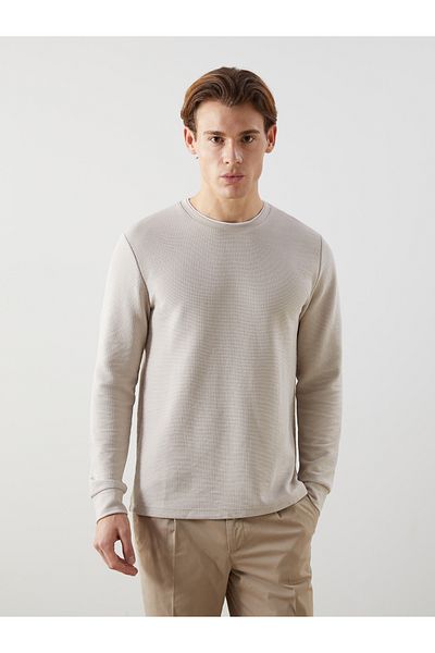 LC Waikiki Crew Neck Long Sleeve Men's Sweatshirt