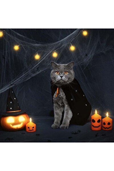 Aicharynic Spider web set with 60 Aicharynic spiders, artificial cotton, white, 200 g