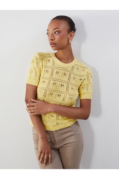 LC Waikiki Crew Neck Openwork Women's Knitwear Sweater