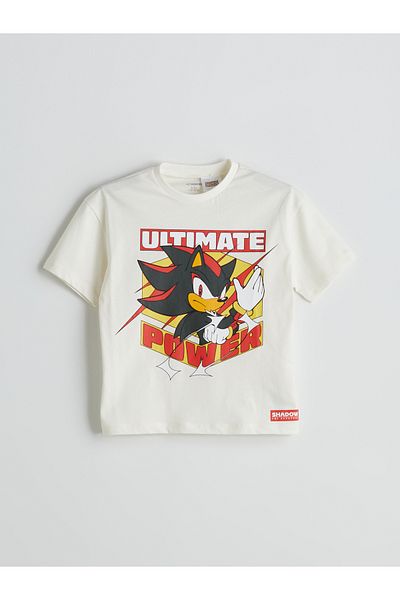 LC Waikiki Crew Neck Sonic Printed Boys' T-Shirt