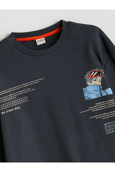 LC Waikiki Crew Neck Boy's T-Shirt