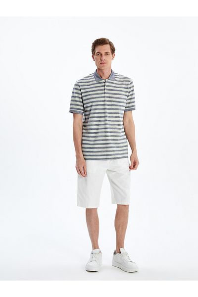 LC Waikiki Polo Neck Striped Men's T-Shirt
