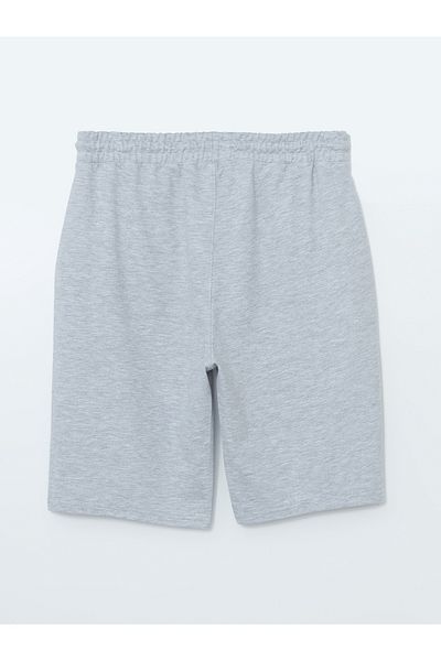 LC Waikiki Ανδρικό σορτς Standard Fit