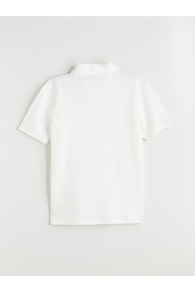 LC Waikiki Herren-T-Shirt mit Polokragen