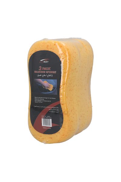 AUTOSMART 3-Piece Car Washing Sponge