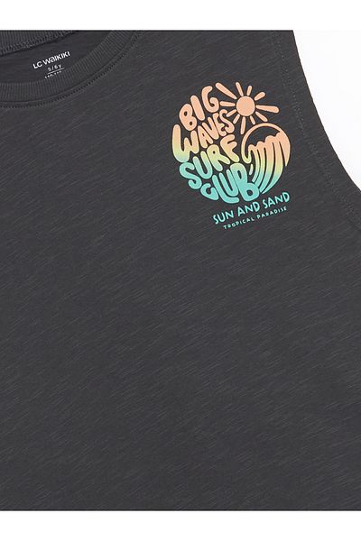 LC Waikiki Crew Neck Printed Boys' Athlete