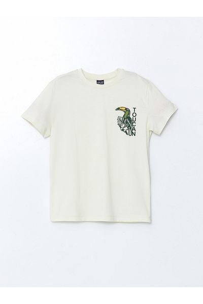 LC Waikiki Crew Neck Boys T-Shirt and Shorts