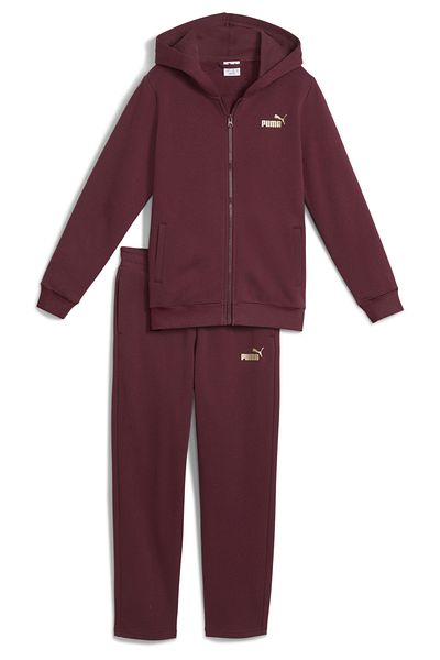 Puma Metallic Hooded Sweat Suit Youth