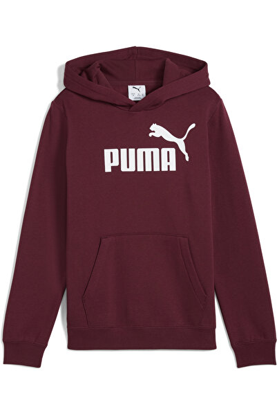 Puma ESS No. 1 Logo Fleece Hoodie Youth