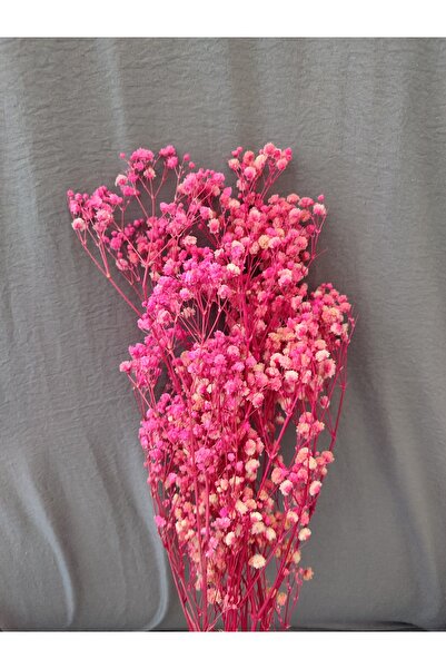 EFİRAZ Kuru Çiçek Pembe Cipso Süslük Vazoluk Aranjman Çiçeği