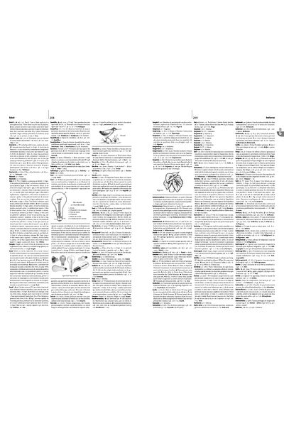 Editura Arc DEXI. Illustrated explanatory dictionary of the Romanian language
