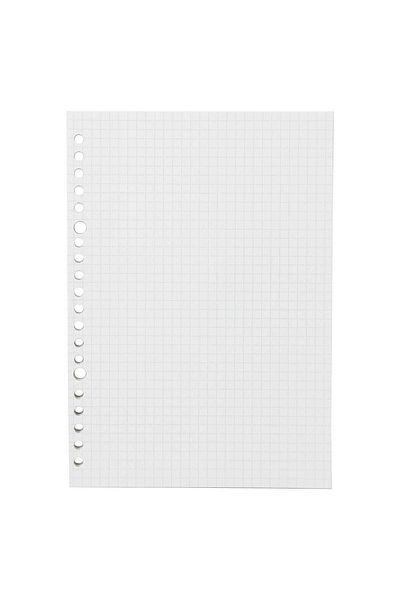 Muji 5 mm Grid Graph Ruled Line Loose-Leaf, 20 Holes, 100 Sheets, A5, White