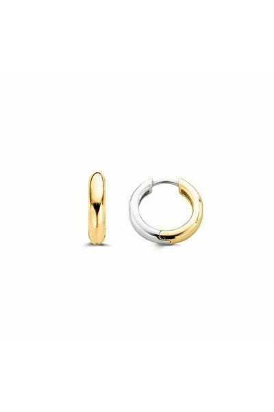 Vitaking Women's earrings, Ti Sento, model 7210SY, gold