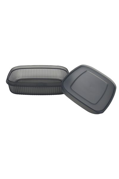 Mena Rise Şirinshop 600ml Gray Shell Storage Container Plastic 1108107