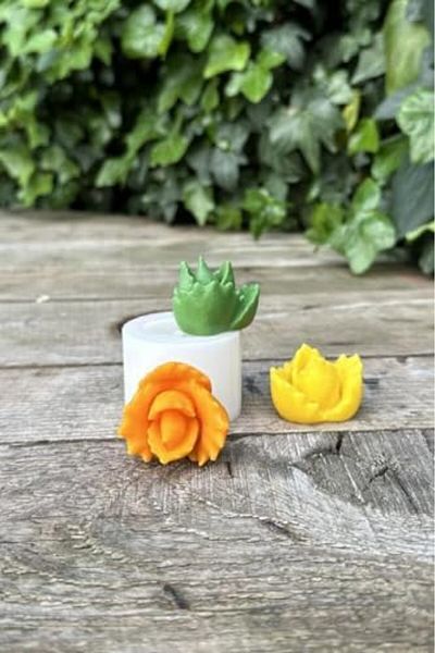 Mena Rise Concept Juvenna Succulent Candle Mold (Silicone) 1108107
