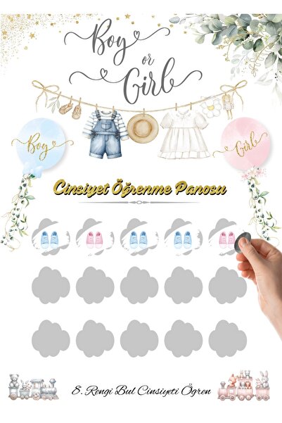 partyhouse Cinsiyet Partisi Kazı Kazan Erkek Bebek