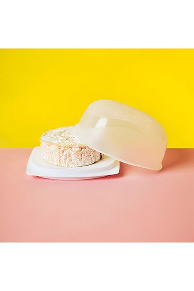 Tupperware BPA-Free Dishwasher Safe Plastic Cheesmart Server