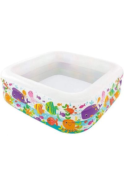 Intex Swim Center Clearview Aquarium Inflatable Pool – 5.2 x 5.2 x 1.6 Feet – Age 3+