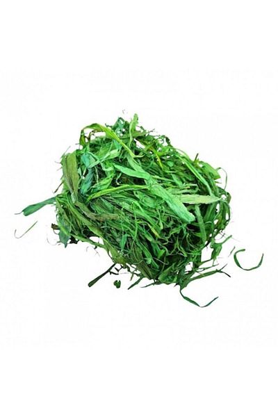 OEM Plante decorative lemnoase, 20 grame, verde