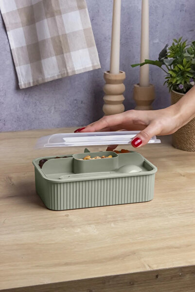 Milena Life Striped 5 Compartment Lunch Box with Fork and Spoon Transparent Lid Leakproof Lunch Box School Office 1 Piece